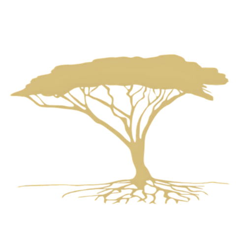 Africa Wellness Retreats Favicon