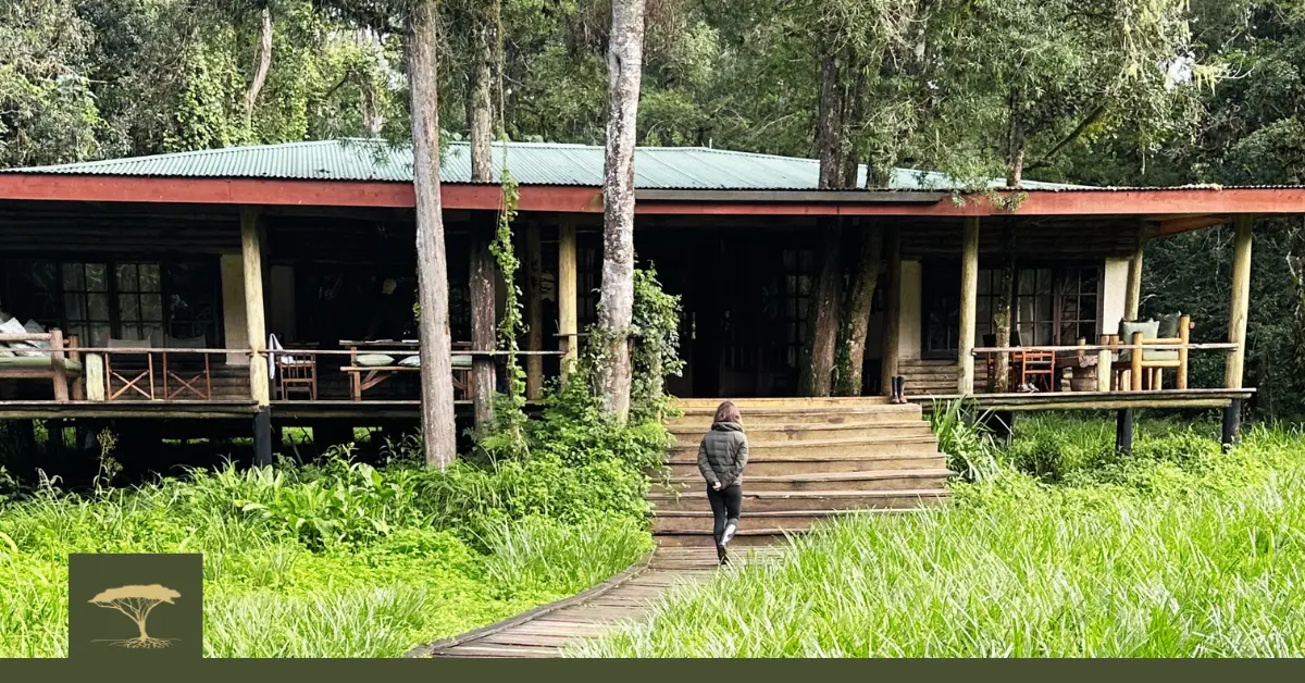 3rd Wellness Experience